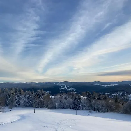 Des Hauts De La Piquante Pierre * Basse-sur-le-Rupt