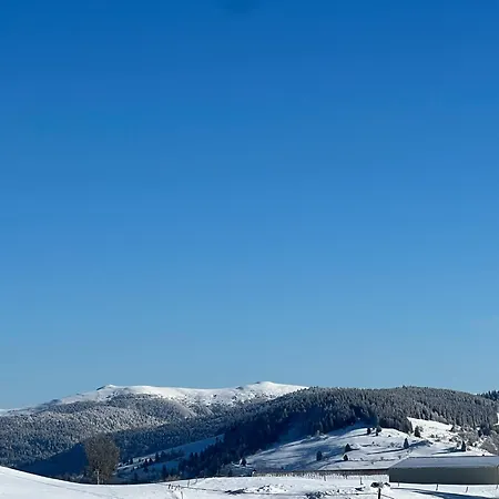 Des Hauts De La Piquante Pierre