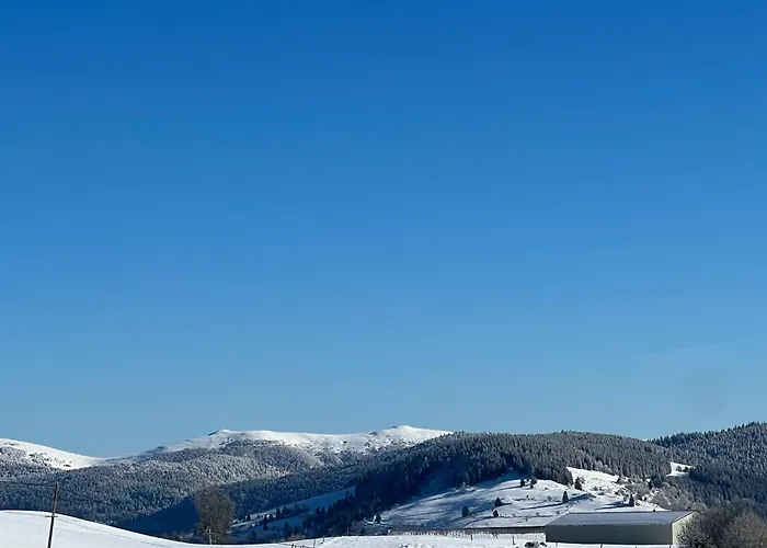 Des Hauts De La Piquante Pierre